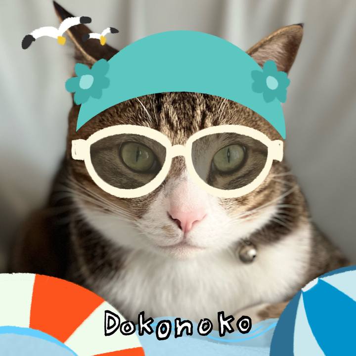 Dca17267 1bb7 4a19 a88d da7c743dce48 1723203150975