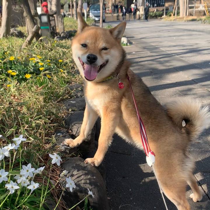 Dca1a465 3313 4207 9fb4 921171d82425 1774074447129