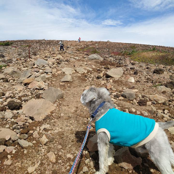 Dca1cb62 705b 4e19 9cf5 59c4c284cece 1759743283573