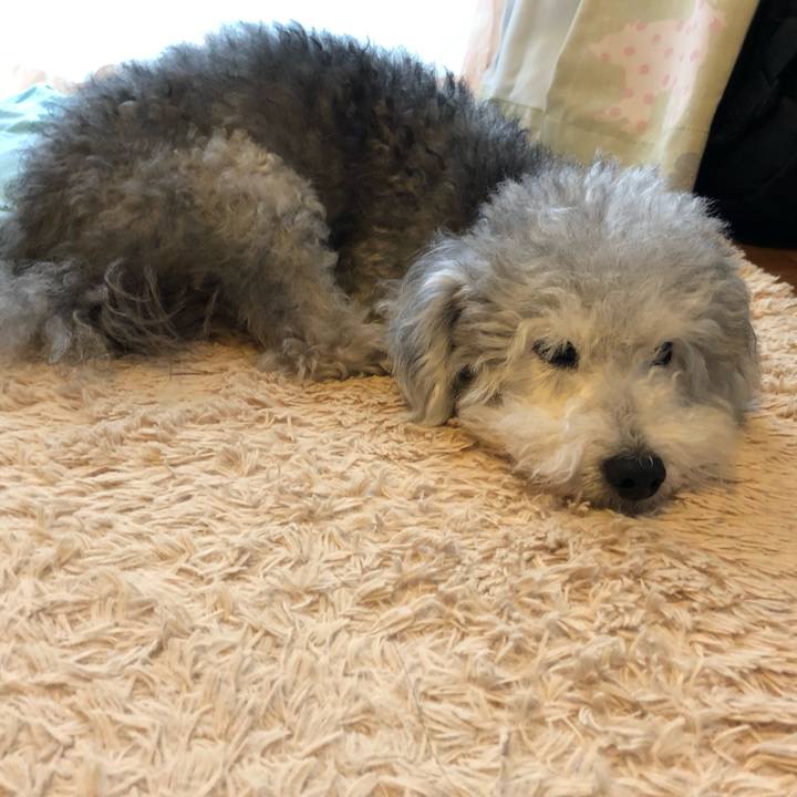 Dca1e30e 50a4 4e71 a82f 7ce3533b8e85 1563403737154