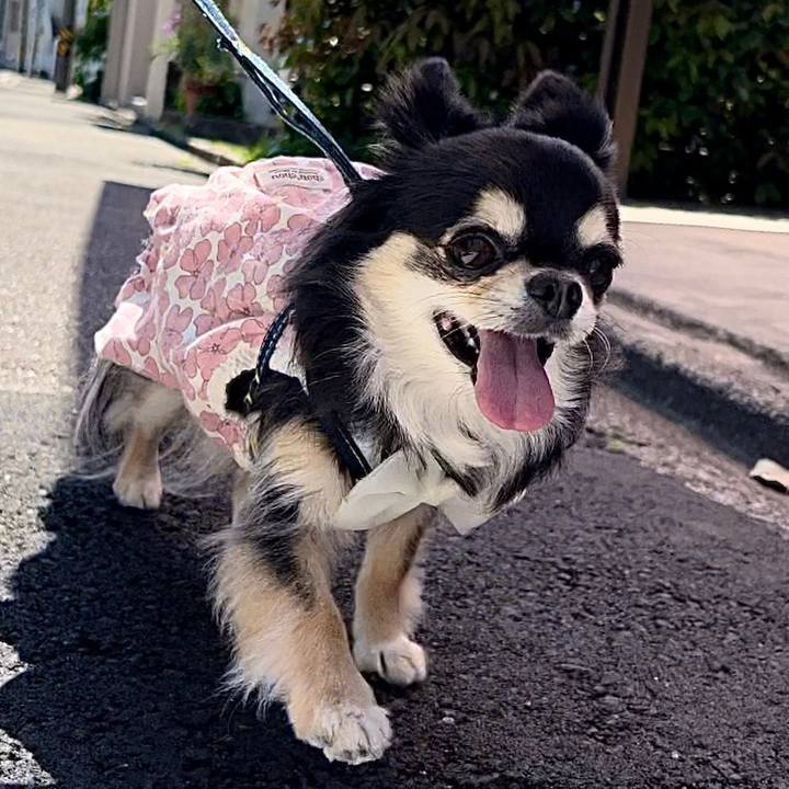 Dca280be 57ca 49c8 8ee8 83705eba4f61 1682727603650