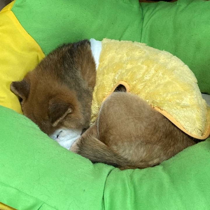 Dca2d11a b2a7 466e af7d e956b66adf87 1769304691719