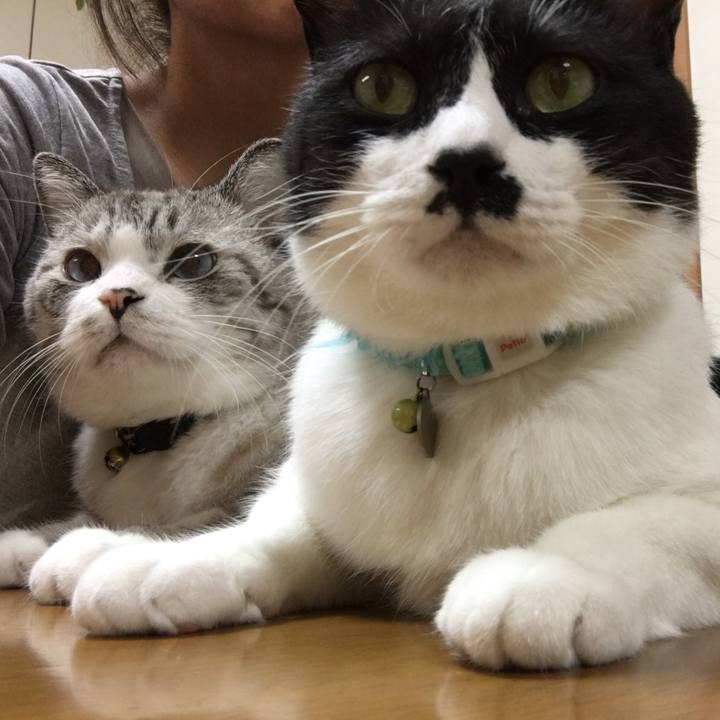 Dca2f932 04b3 4e42 b8b8 80cd2e581a92 1507983109911