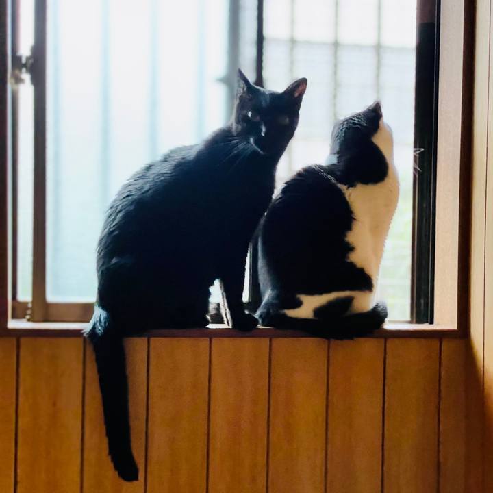 Dca31e7b 67ab 42a5 a969 16f613adb38e 1608518332854