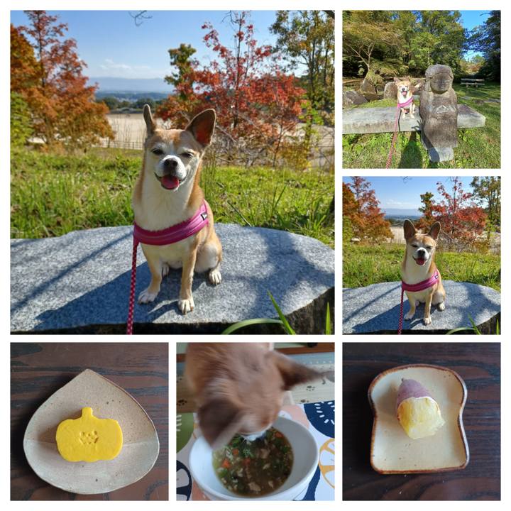 Dca35024 4939 4e91 b0a0 4ef2683e95bc 1730715257531