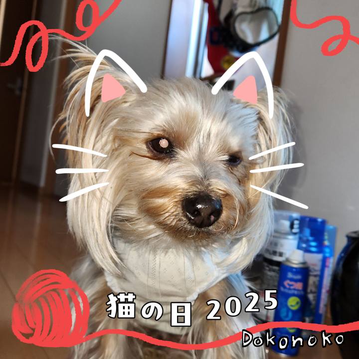 Dca37abc 5b65 49e9 ae69 39dc7402dbdf 1740440101090