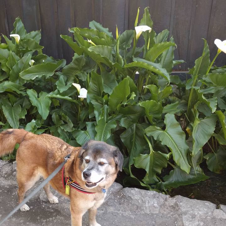 Dca39a58 62f7 4b8b 8bfa f7f33d722e37 1554514015538