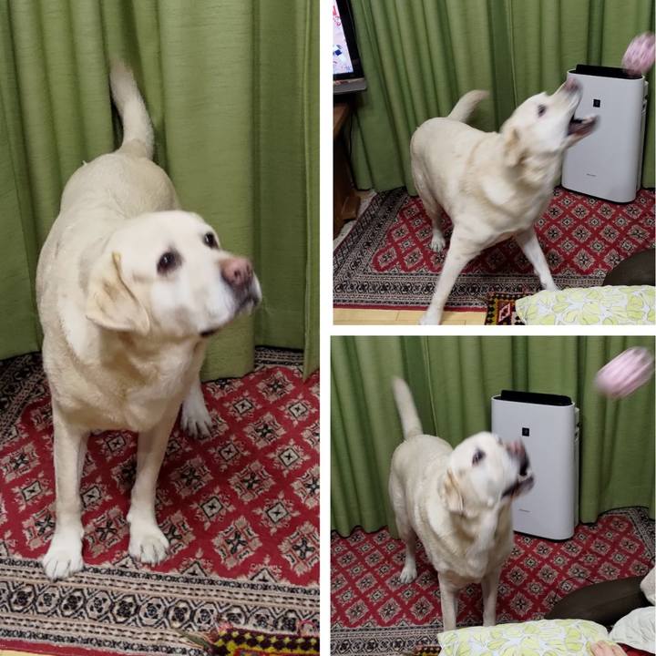 Dca3b384 5a29 499a b206 408de6a33dd2 1703205130390