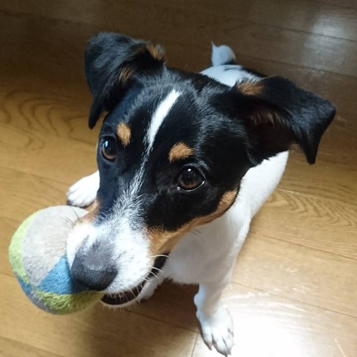 Dca3bb27 af33 47e6 b80c 860569e60ea6 1528675308846