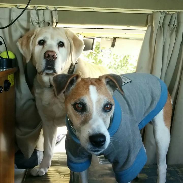 Dca3be35 5341 4261 8162 42add64068bc 1565607951134