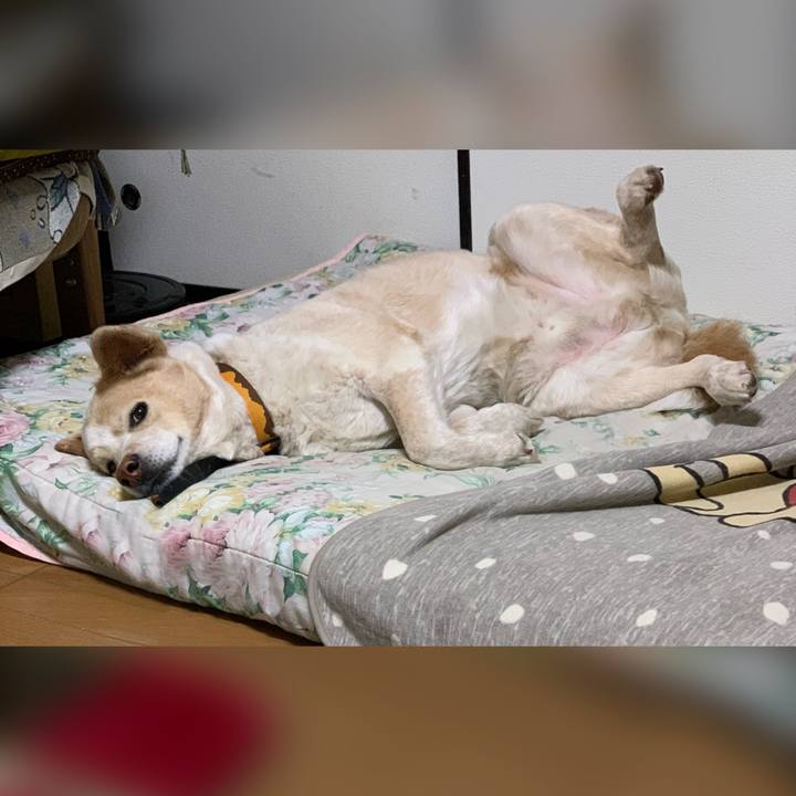 Dca3cfed 1824 40f3 b5dc 6811de5fb2f3 1582985896263