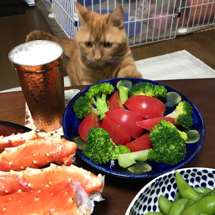 Dca488a8 8d98 4965 b66b 4619b8111a16 1529757719028