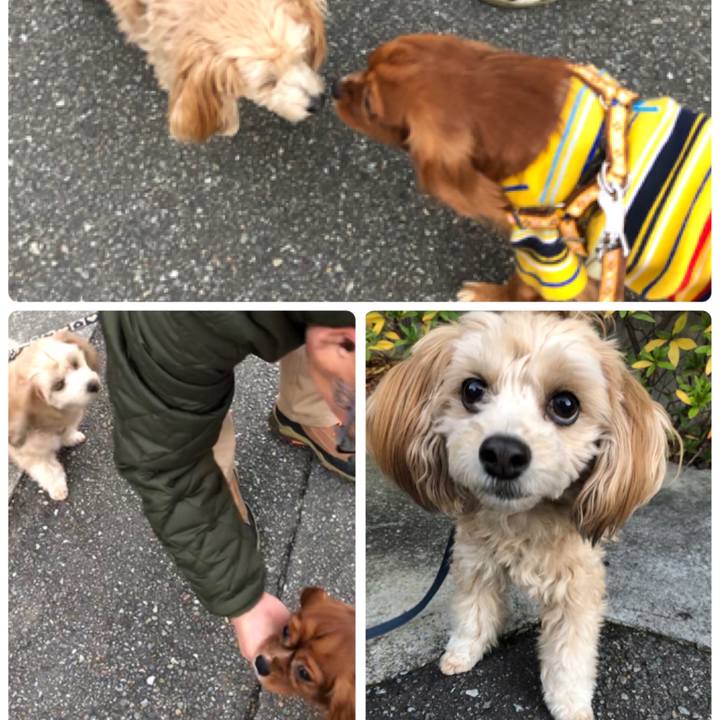 Dca548e8 f715 42af b788 7017aeac71db 1546072175660