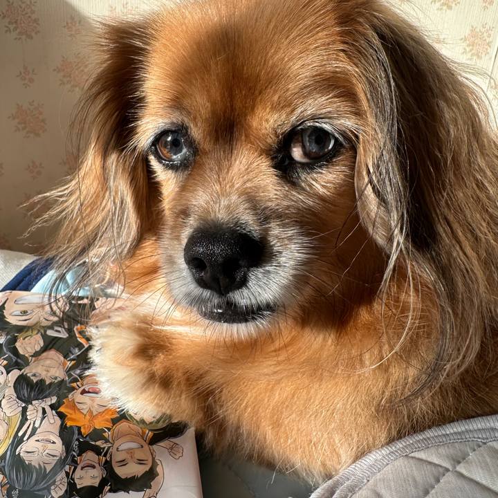 Dca55d63 9e54 4dc0 acde bc6f2e650c4c 1726445857979