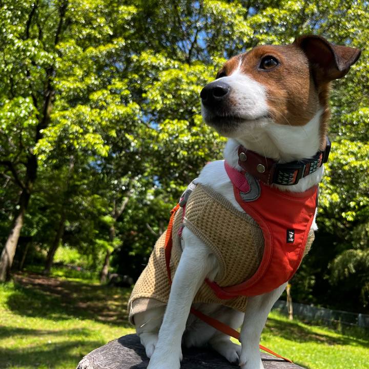 Dca56512 8bad 41f4 bb60 31e4f89c3cc7 1746613782553