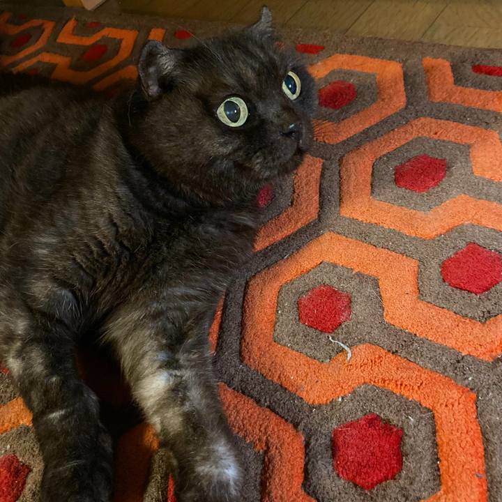 Dca57218 3bf4 4885 ae45 4d308f22078c 1627920221110