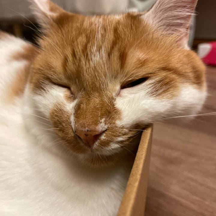 Dca58a1d a287 4acc 9aa7 9a95525e6cb1 1689070796094