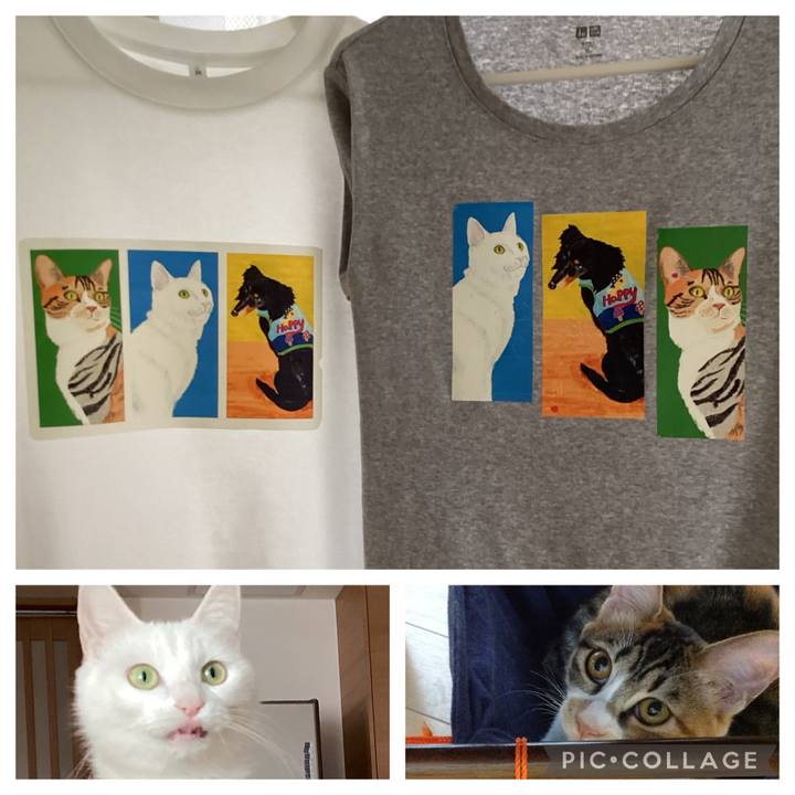 Dca598fa 41f5 4f79 b538 a0ea195f3311 1719650537908