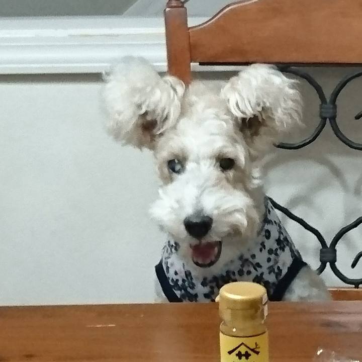 Dca5ba7b 946b 471a 97cc d5cad4aff4aa 1551876544686