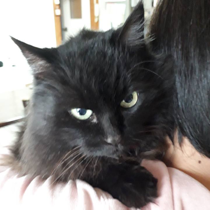 Dca5be55 04d2 49eb bde4 09c2f580aac0 1523915587208