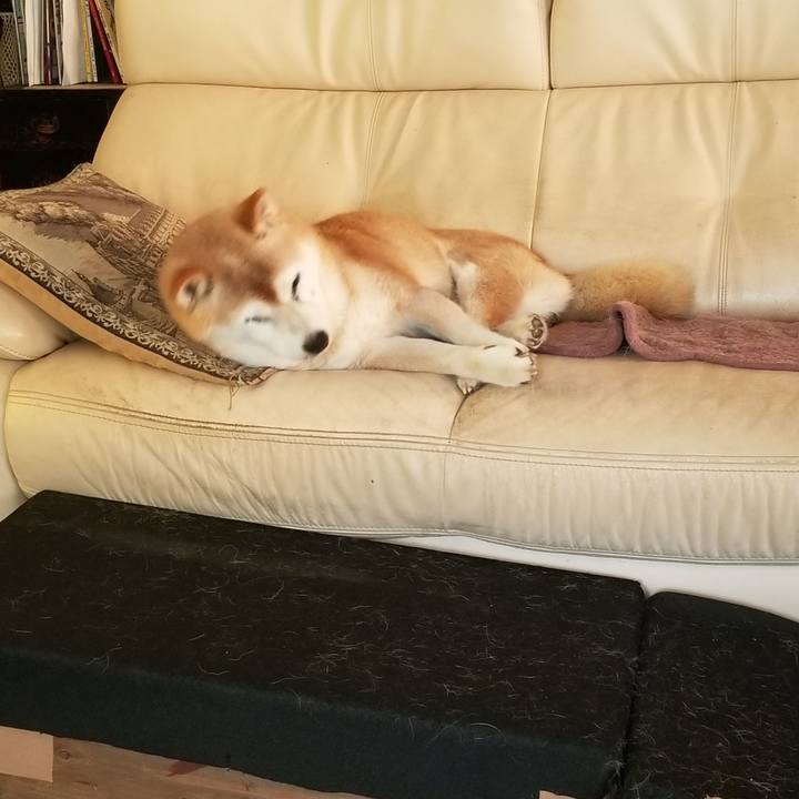 Dca6254f bf0c 468c 8377 40f9e8c3c297 1754694220064