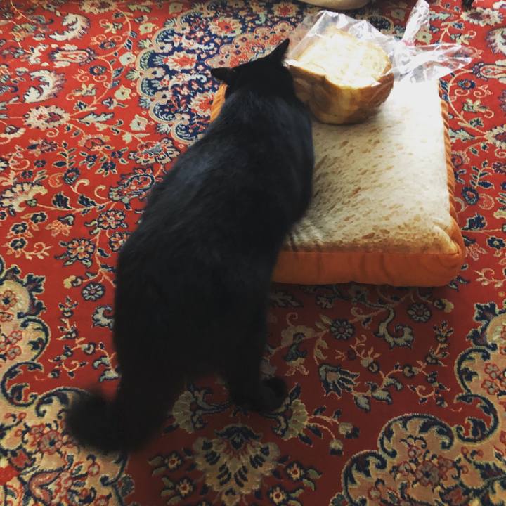 Dca63d3c a1be 47f7 ab23 b77058ae82c9 1540508663607