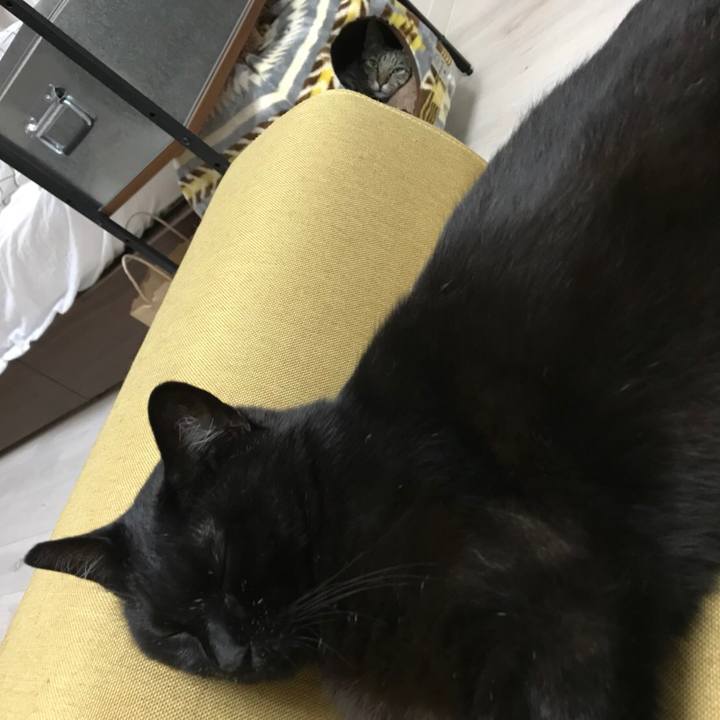 Dca64948 de64 4f04 b1f9 61d89d0a813e 1527759424488