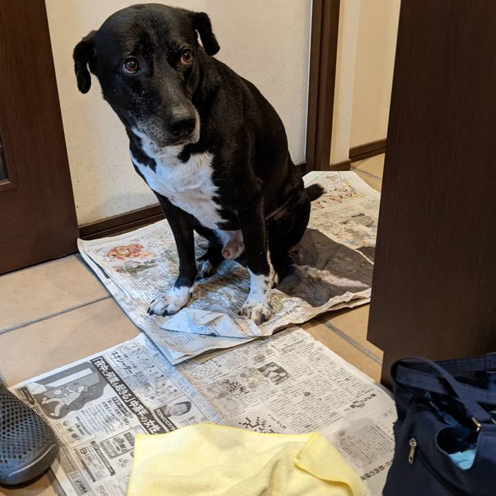 Dca653e2 1ba3 4b05 95ed f97fe51c542f 1705796932065