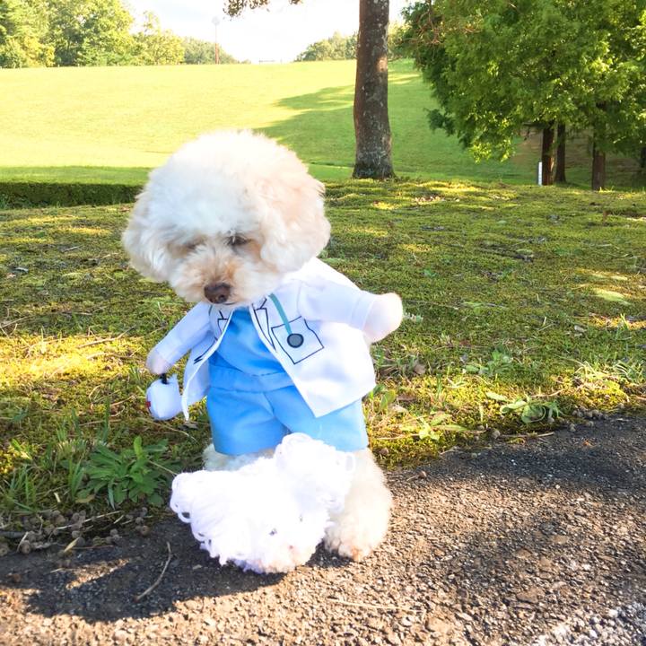 Dca659a2 5745 4365 bbb1 29868abf4741 1510900194807