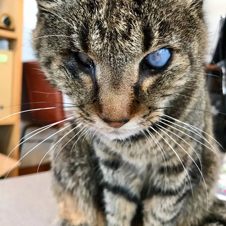 Dca66667 6c4a 4ca4 9f05 b8070c3b9cc3 1616676913974