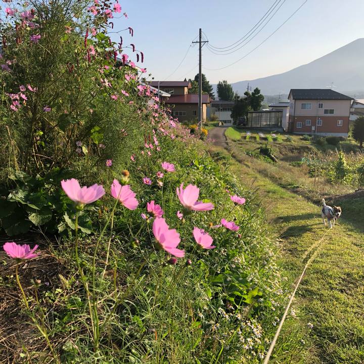 Dca674be a43e 4fad b3f8 1d8120aa691d 1601631689219