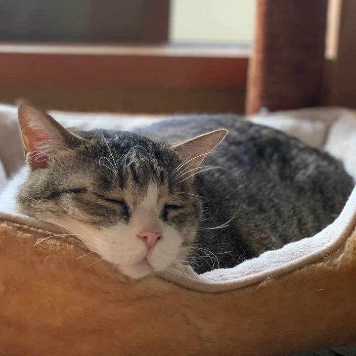 Dca68a8c b37b 4617 a345 c14da1a4f012 1653610518071