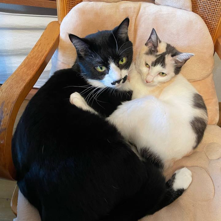 Dca6a317 3730 4234 84d3 4b79d7b7c75f 1761531913820