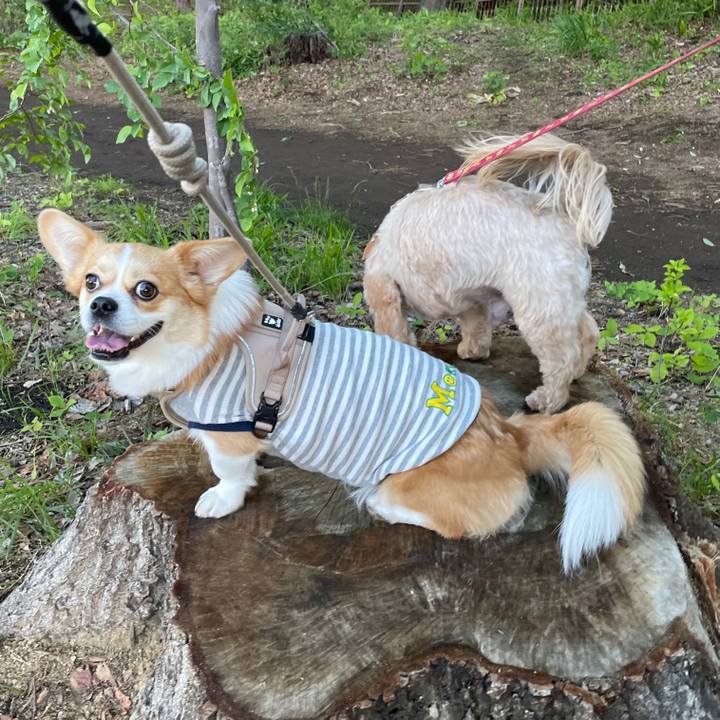 Dca6b3b5 7db4 49a3 a2a4 af92f1972538 1619968718775