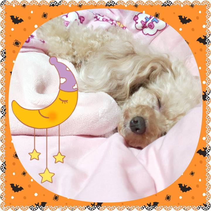 Dca6ba99 3e88 404a b768 8e169ddb5205 1572529223234