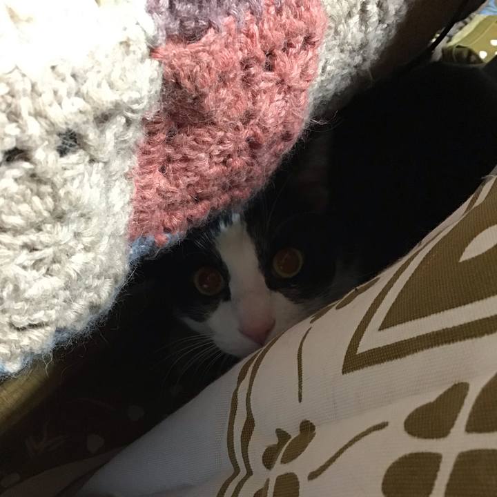 Dca6cf28 3451 49cf 940d d2d642889955 1734511791618