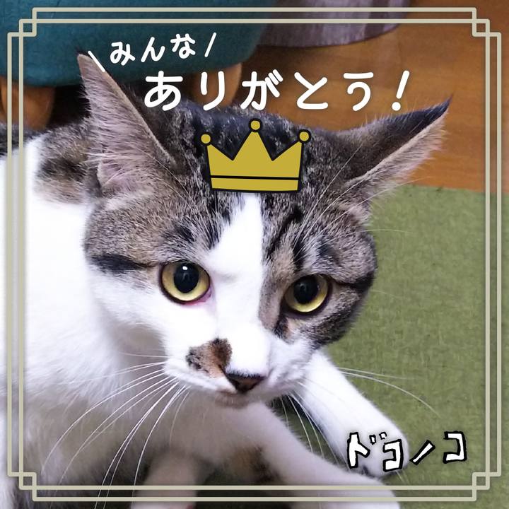 Dca7073a af28 4c9d a066 e6186715260f 1622958394324