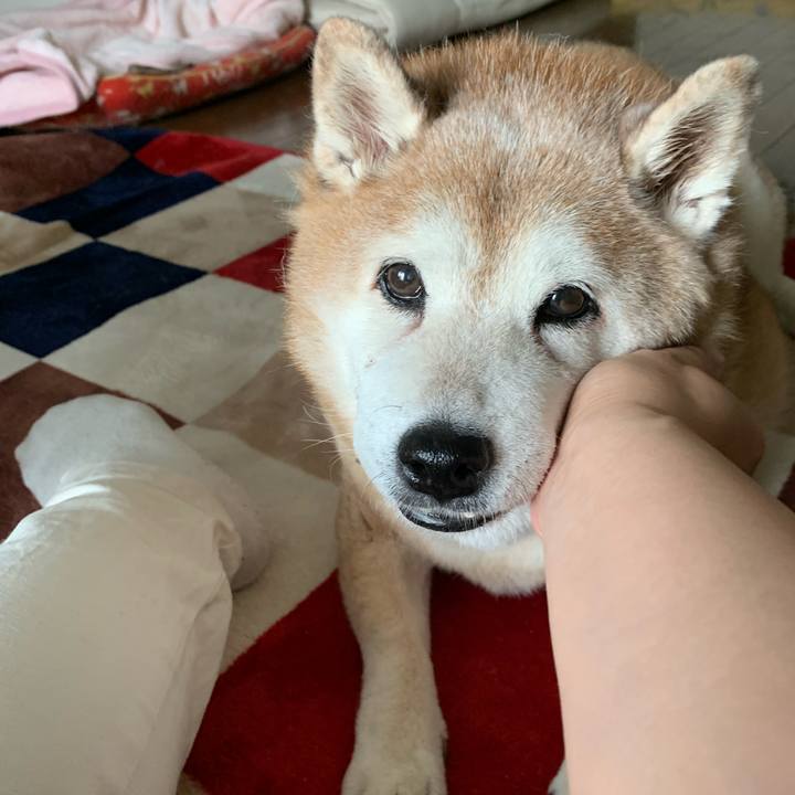 Dca7254c 15b5 4387 a8d2 056726a627b5 1629447460140