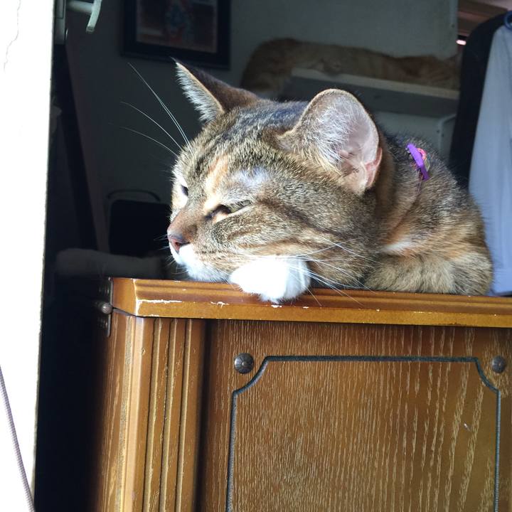 Dca73edf 4c35 4819 ae02 4bfe5bfb0619 1569914088101