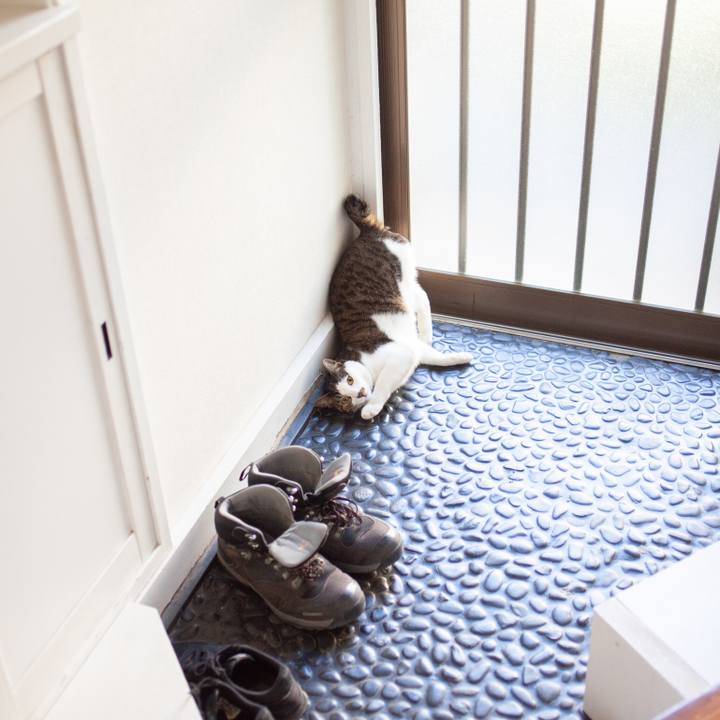 Dca73f90 2f0a 4069 aded b82f1a59d981 1549180907141