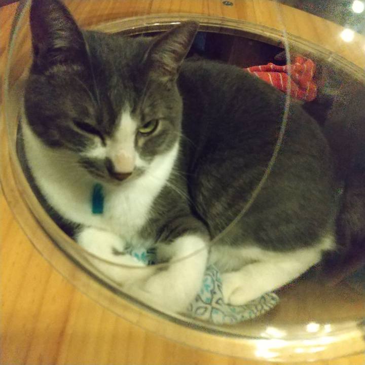 Dca7706a 5c55 464c 9b40 208ce163d626 1624882291749