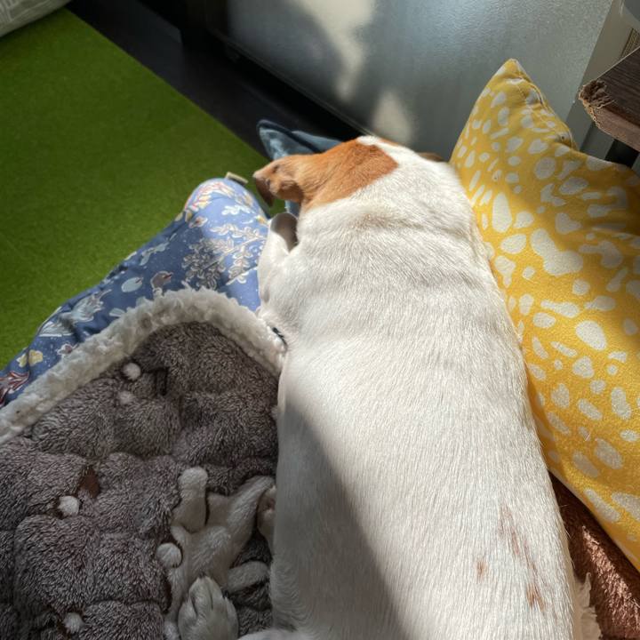 Dca79100 7ec7 4056 aa71 6820f00591a2 1701318970424