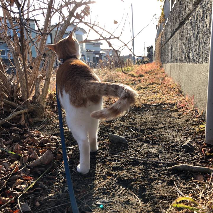 Dca7c8db 9f94 406c a0b1 de98e9189adc 1549197519396