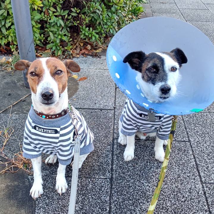 Dca7f354 feeb 493b 8971 bc9a73c5d497 1669244102641