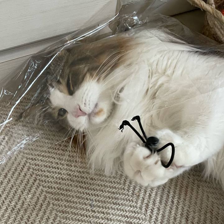 Dca7f55c 2767 4923 8fe2 36c6200fad8d 1680731438772