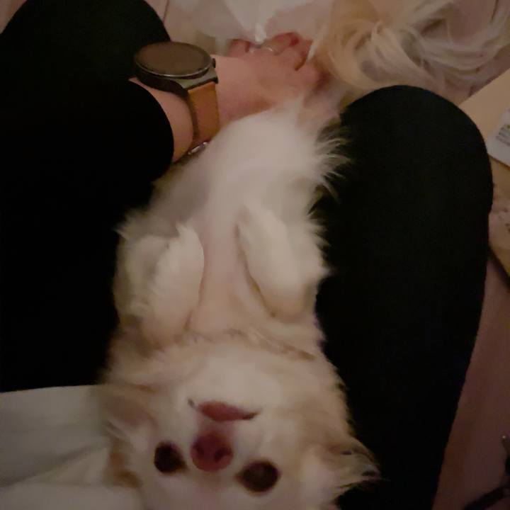 Dca8299e 75e5 4559 b096 85c310356601 1707818369216