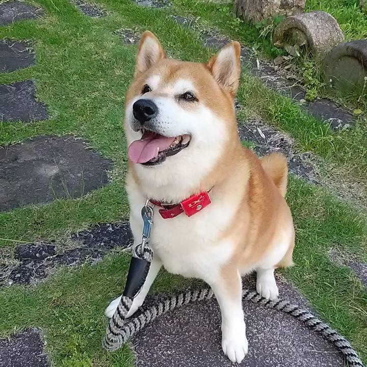 Dca83566 59a0 42c7 8805 48008d5bfebc 1688508778643