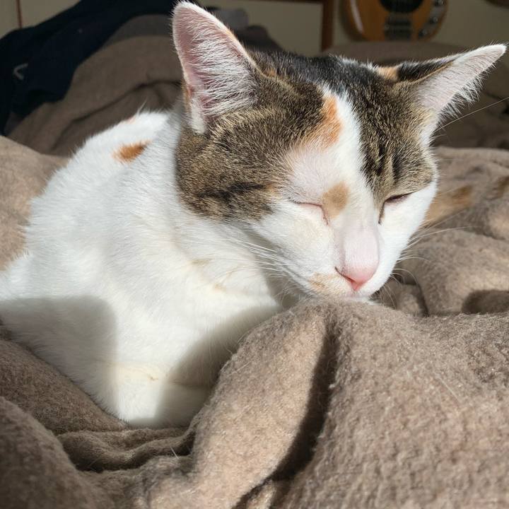 Dca86832 8536 41a9 81e5 297b6cc76264 1669768153768