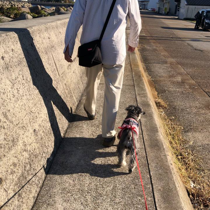 Dca899be dd94 41a2 9719 2282154fb665 1635039770405