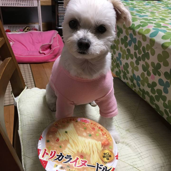 Dca8d338 fe23 47a6 ba46 96860a7b2986 1516529604284